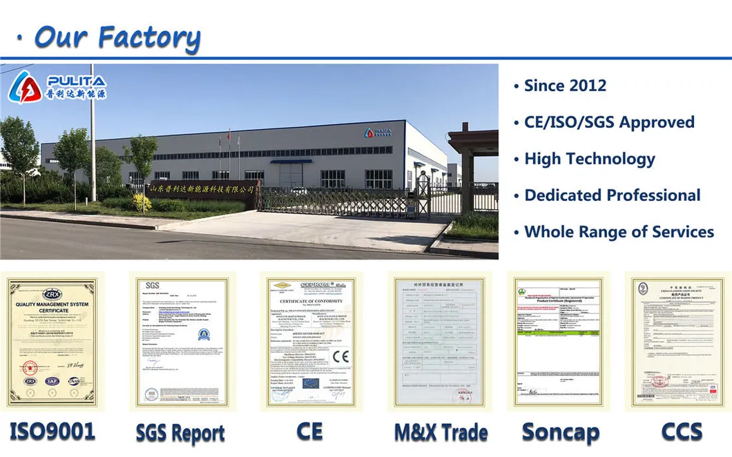 12V Battery Powered Diesel AC Generator for Sale