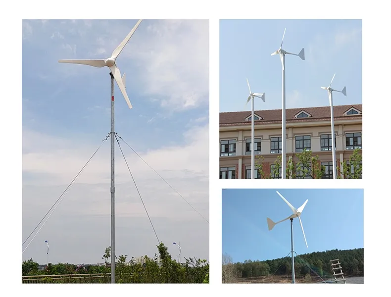 1500W Domestic Clean Energy Wind Power Generator/Windmill for Home Use