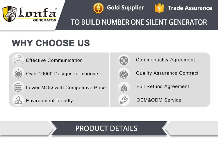 15kw Profassional Gasoline Generator (V-TWIN) Gx670 E Start