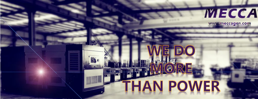 175kw Open Type Diesel Power Generator with Perkins Engine[Mbp04]