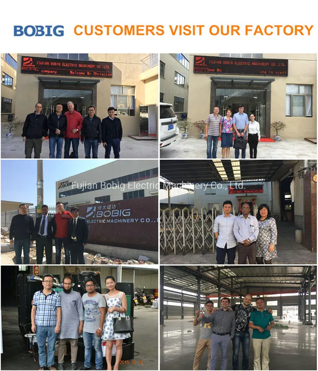 188kVA Diesel Generator Powered by Weifang-Ricardo