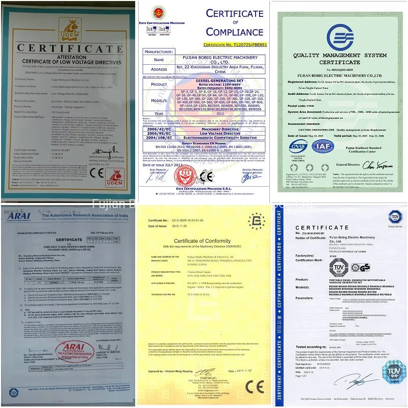 188kVA Diesel Generator Powered by Weifang-Ricardo