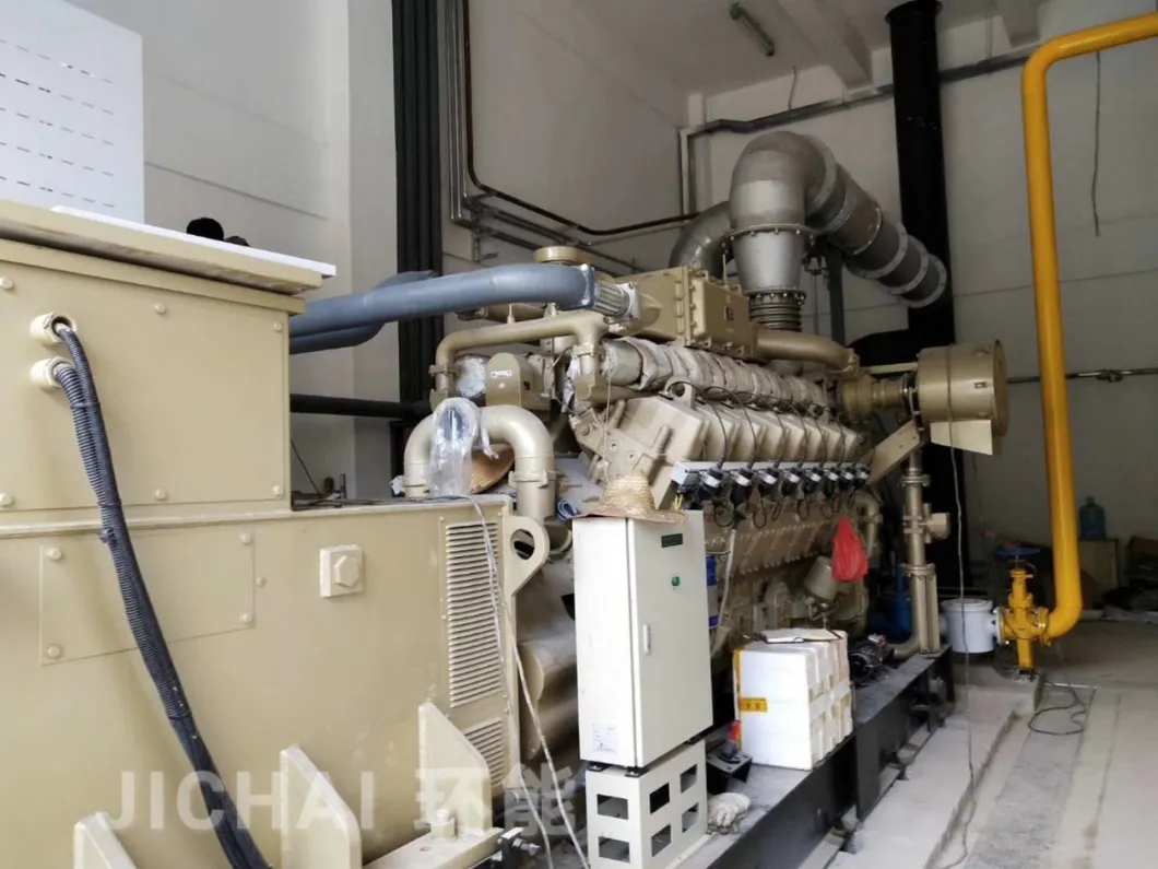 1MW 2MW 3MW Organic Waste Biogas Engine Generator