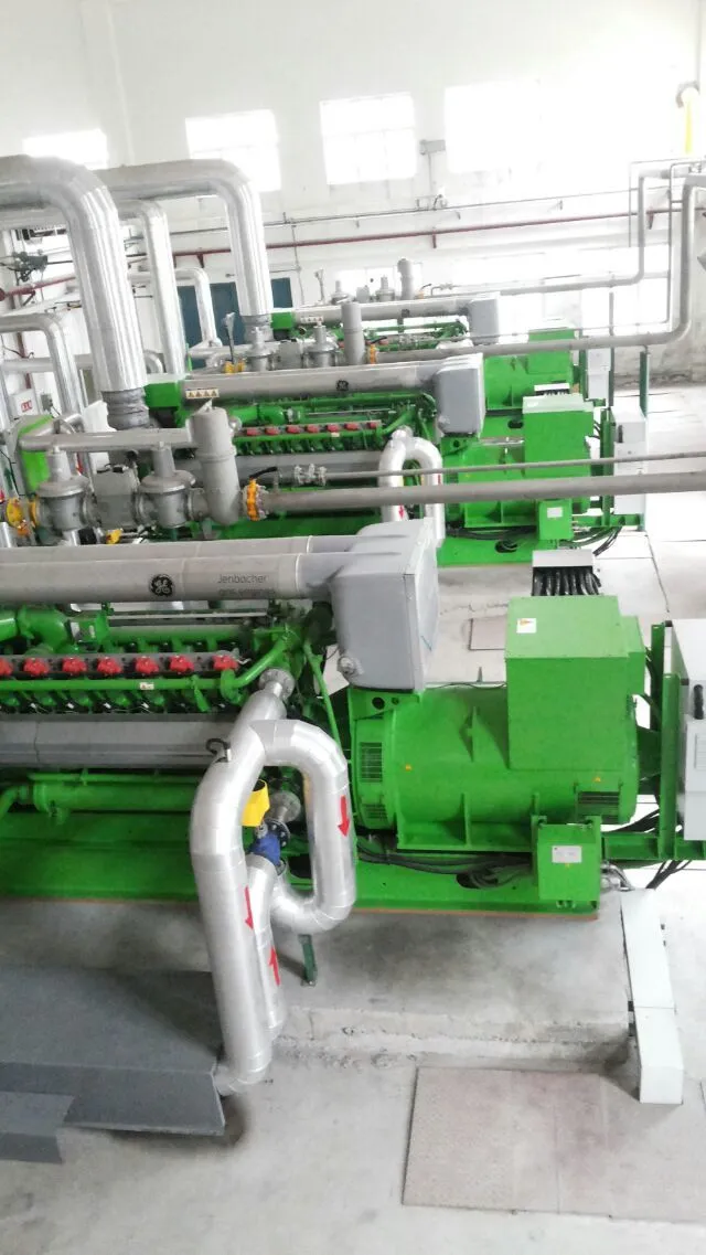 1MW Second Hand Jenbacher Used Biogas Generator Set Jms320GS CHP