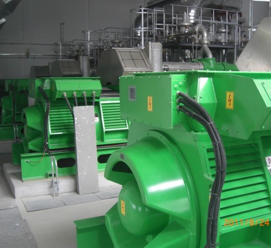 1MW Second Hand Jenbacher Used Biogas Generator Set Jms320GS CHP