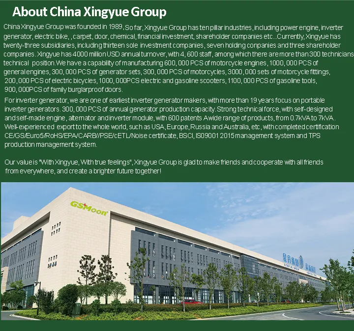 2.2kw Petrol Quite Power Silent Genset AC Single Phase Manual Gasoline Generators of EPA/CE/EMC ISO9001 Certificates