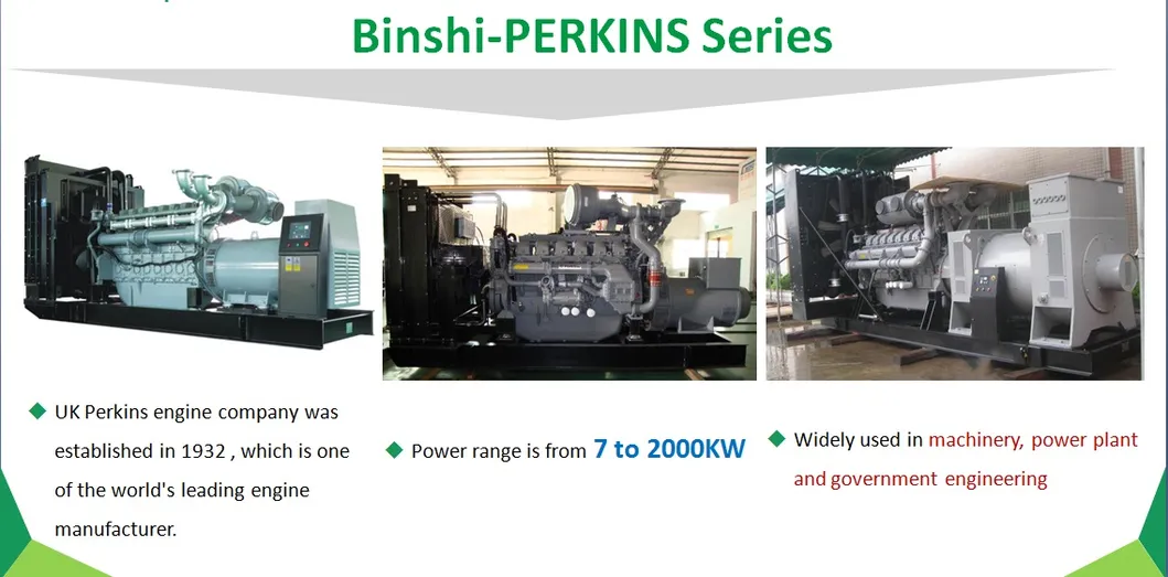 200kVA Perkins Diesel Genset with Marathon Alternator (BPM160)