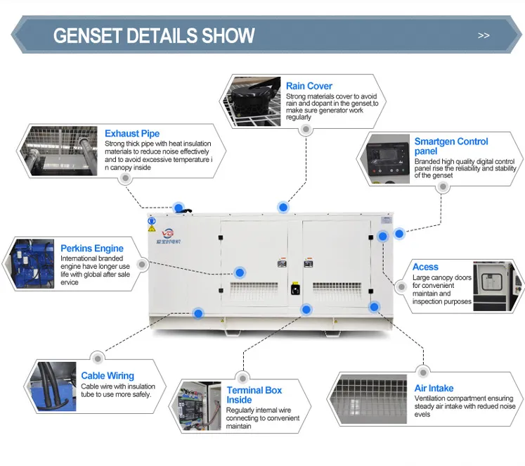 200kw 250kVA Diesel Generators Diesel Generator Price 1206A-E70ttag3