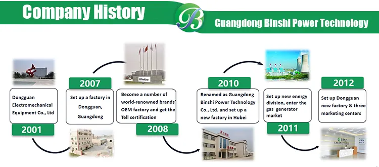 200kw Three Phase Generator Silent Diesel Soundproof Generator Set