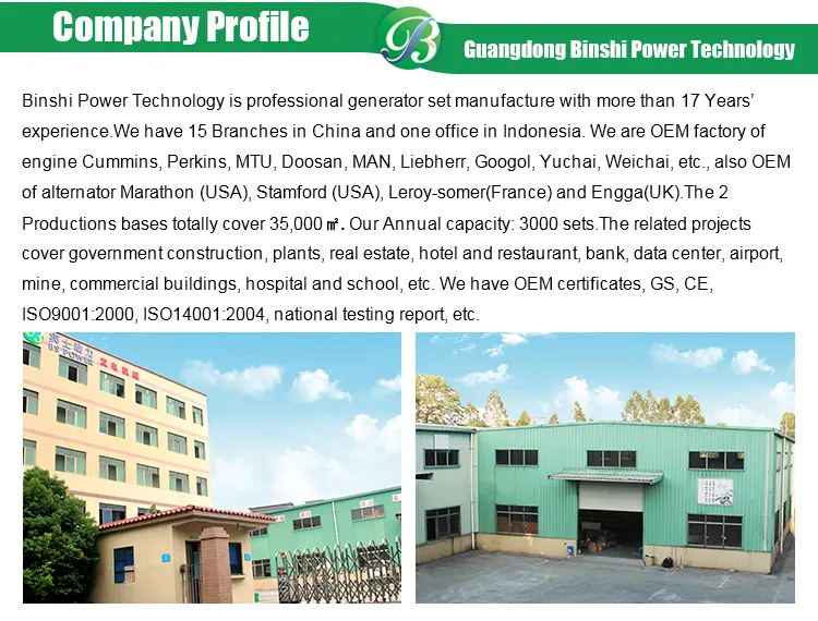 200kw Three Phase Generator Silent Diesel Soundproof Generator Set