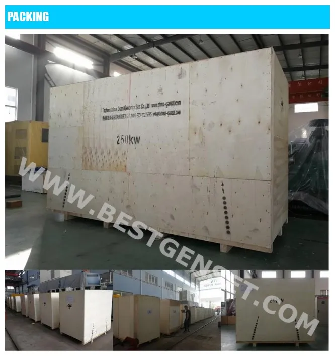 250kw Cummins Nta855-G1a Diesel Power Generators Supplier with OEM Certificate