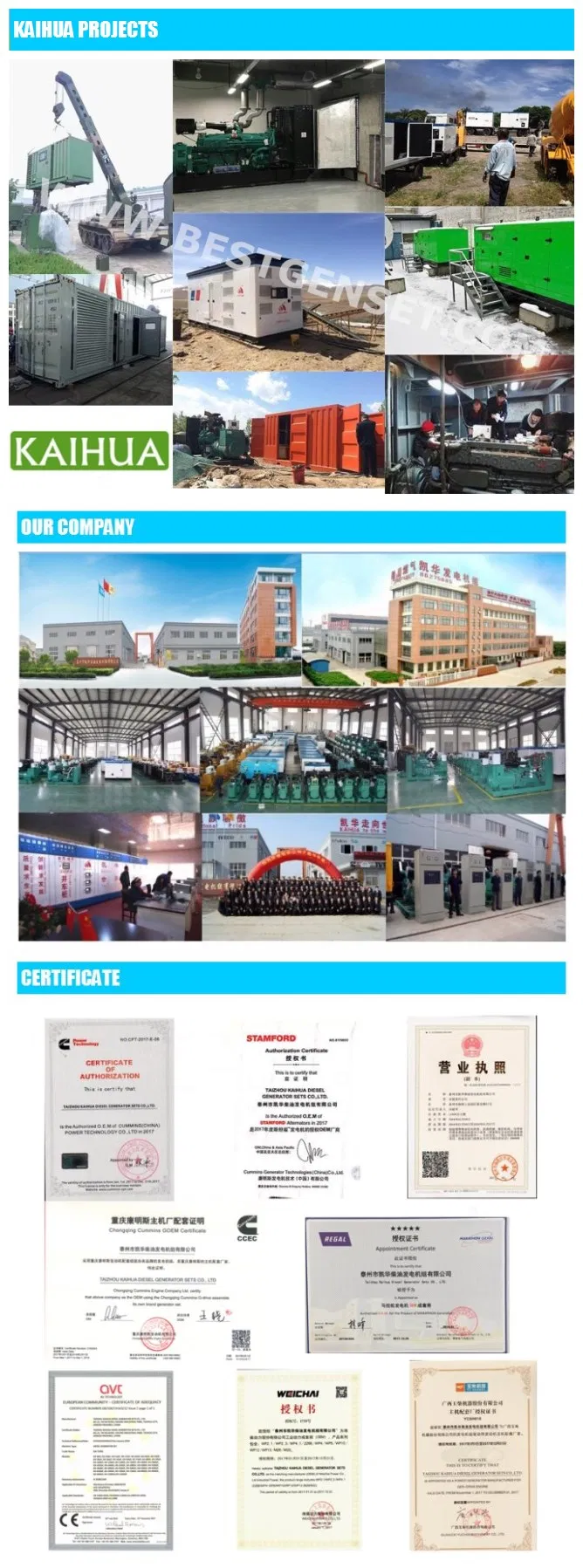 250kw Cummins Nta855-G1a Diesel Power Generators Supplier with OEM Certificate