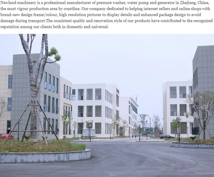 2kw 5.5HP Air-Cooled Gasoline Generator Honda Ohv