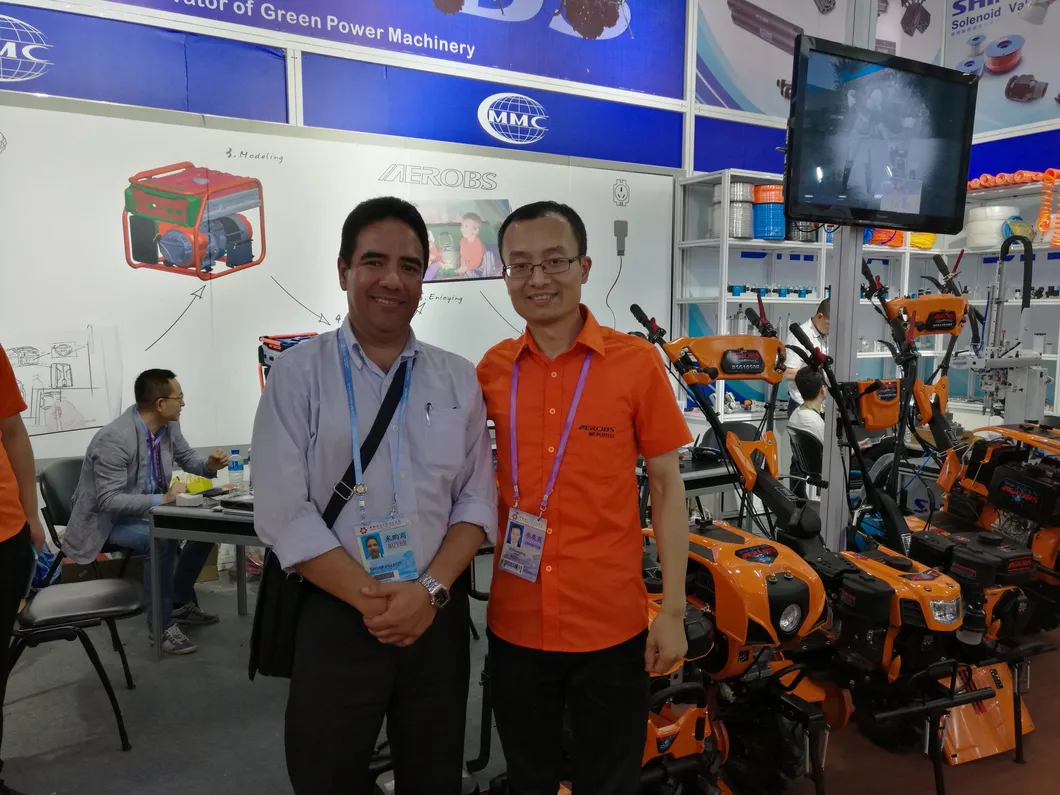 5.5kw 6.5kw 7.5kw 7.7kw 8kw BS4000-IV 3.3kw Household Air-Cooled, Single, Four-Stroke (OHV) Gasoline Generator