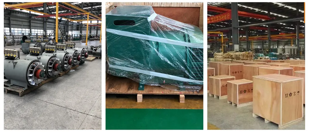 60Hz Stamford Brushless Generator 660kw AC Alternator Diesel Generator for Sale