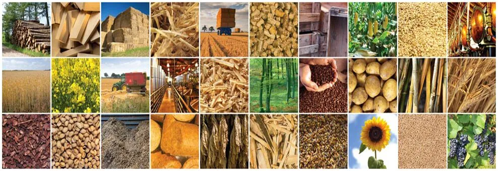 6MW Biomass Pellet Gasification Electricity Generation