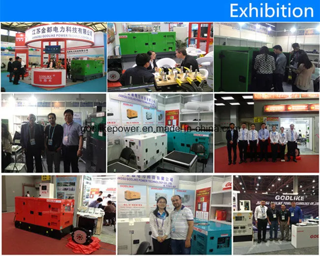 910kVA/728kw Powerful Diesel Brushless Generator Alternator