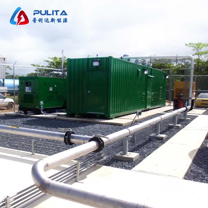 Anaerobic Digester Plant Used 400kw Biogas Generator