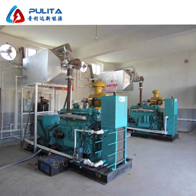 Anaerobic Digester Plant Used 400kw Biogas Generator