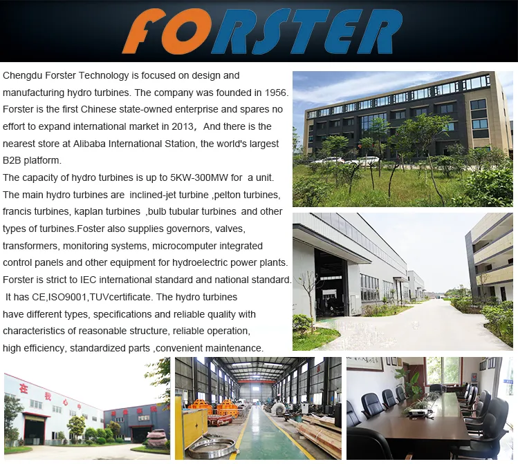 Bearing Used in 6MW Hydroelectric Power Plant for Hydroelectricity