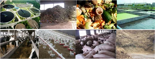 Biogas Generator CHP Cogeneration Power Plant