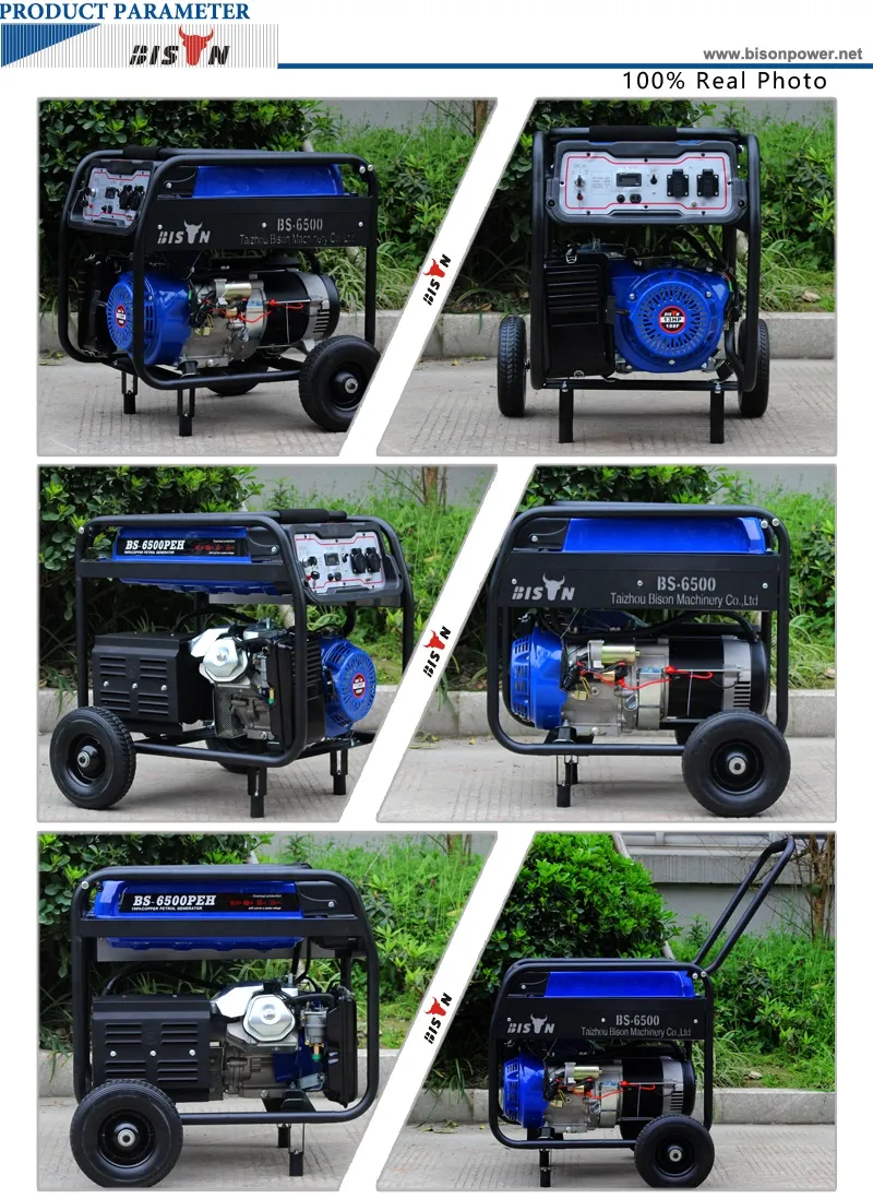 Bison AC Single Phase Air Cooled Portable 5kw Gasoline Generator