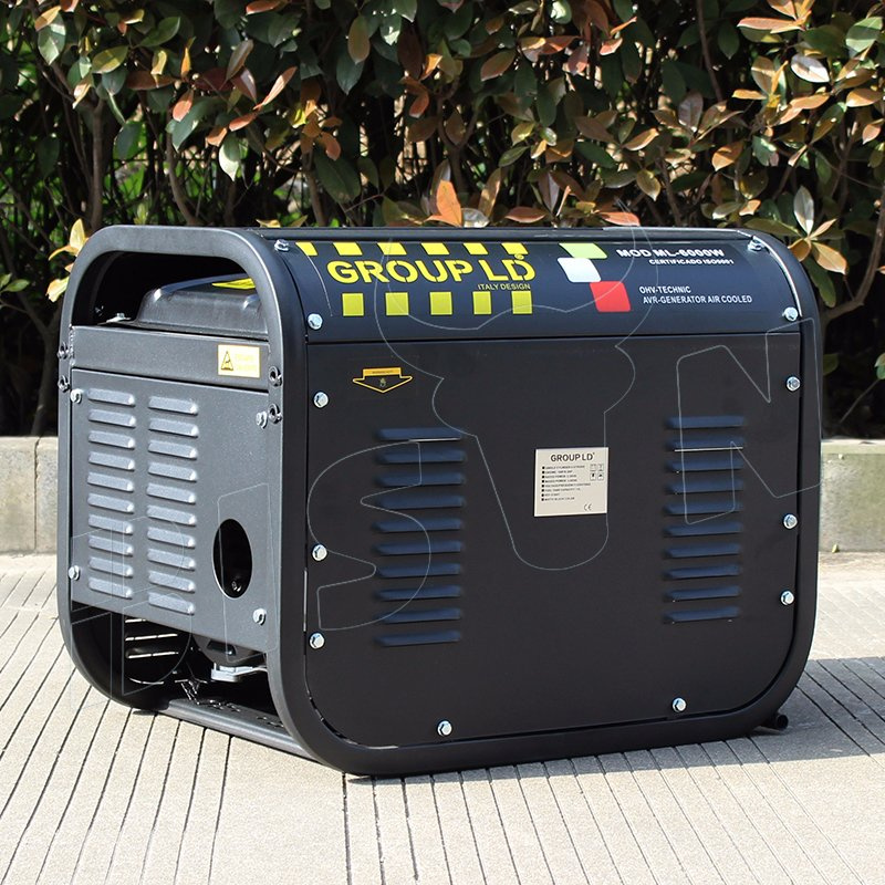 Bison China 2kw Gasoline Generator for Gasoline Generator Portable 2kw
