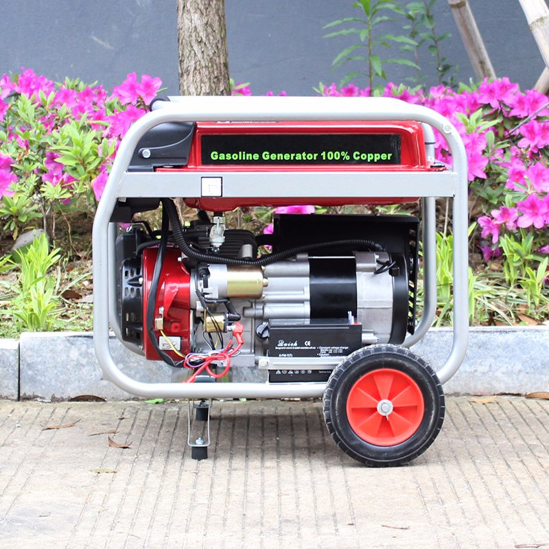 Bison (China) BS2500e Long Run Time New Gasoline Generator 2500