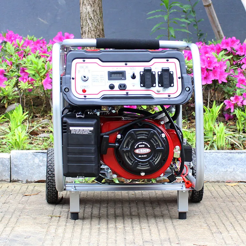 Bison (China) BS2500e Long Run Time New Gasoline Generator 2500