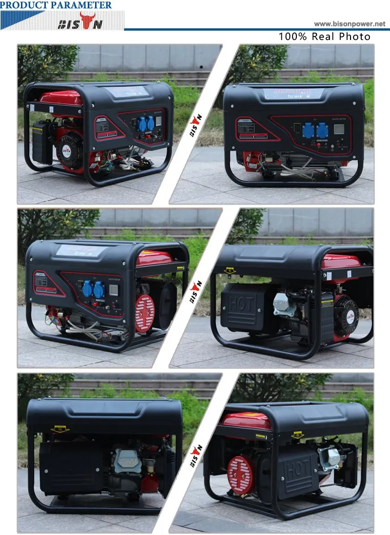 Bison (China) BS2500L 2kw 2kVA 1 Year Warranty Small MOQ High Quality Reliable Price of AC Generator