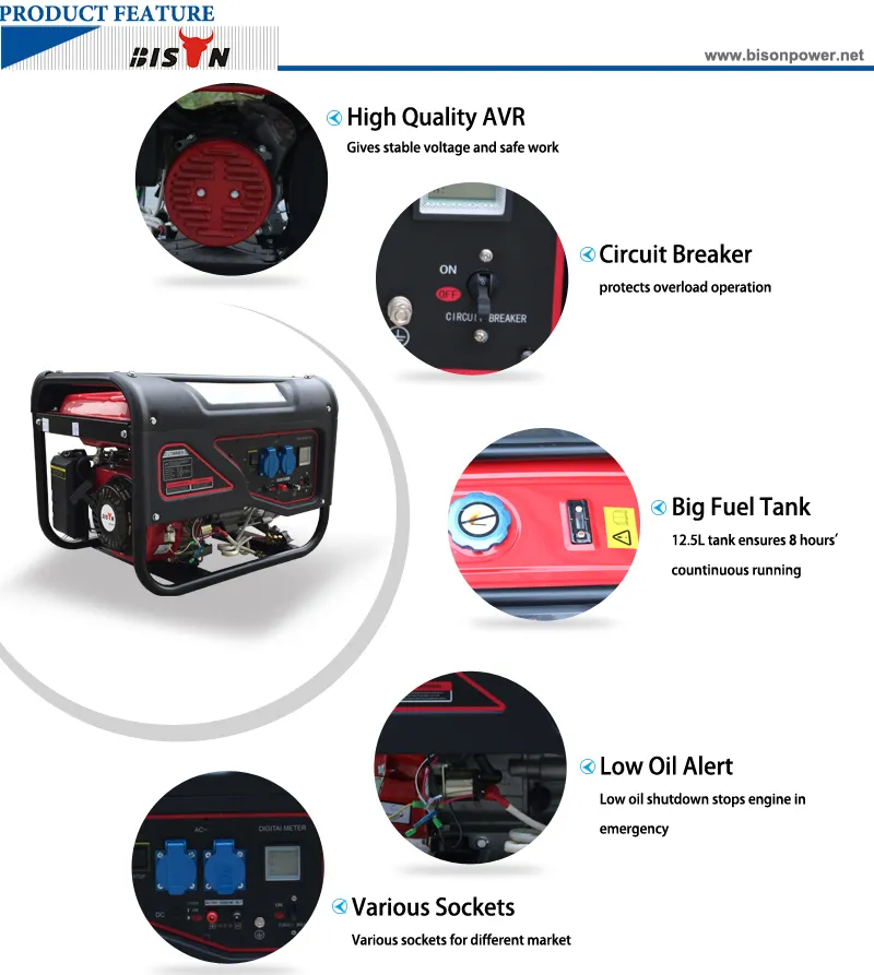 Bison (China) BS2500L 2kw 2kVA 1 Year Warranty Small MOQ High Quality Reliable Price of AC Generator