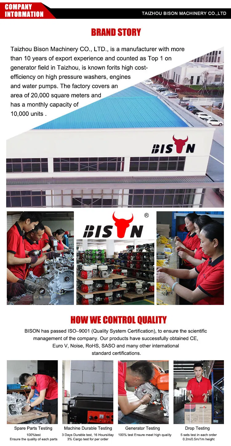 Bison (China) Factory Price 188f Generator Set Spare Parts Generator Carburetor