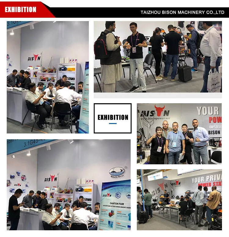 Bison Gx160 Gx200 Gx210 Gasoline Engine Water Pump Spare Parts Fuel Tank