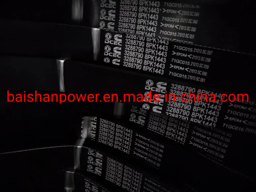 Cat Serpentine Belt 2213775 Caterpillar C13 345 349 Engine V Belt 221-3775 312-8933 230-7215 141-7116 7e-0744 7e0744 345c 345c 345c 345D 345D C11 C13 C9 4n-6529