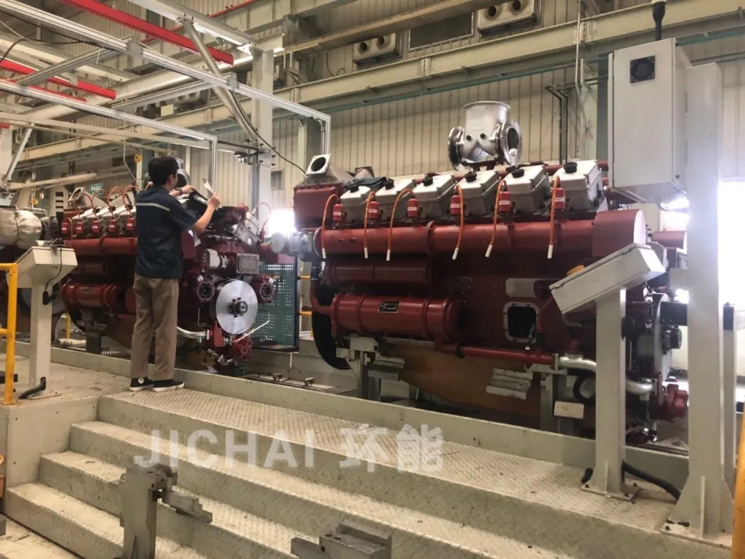 Cchp Biogas Generator Set with Soundproof Canopy