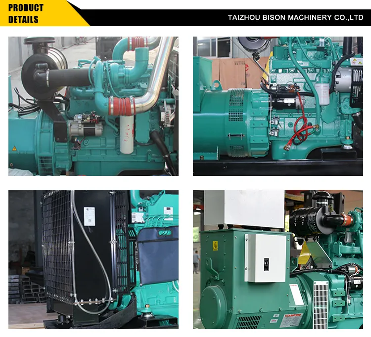 China Bison 30kw Electric Diesel Generator Genset with Cummins Diesel Engine 4bt3.9-G2
