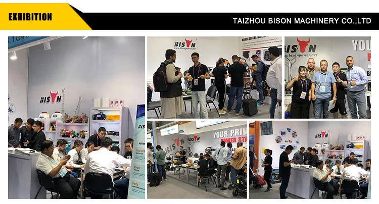 China Bison 30kw Electric Diesel Generator Genset with Cummins Diesel Engine 4bt3.9-G2