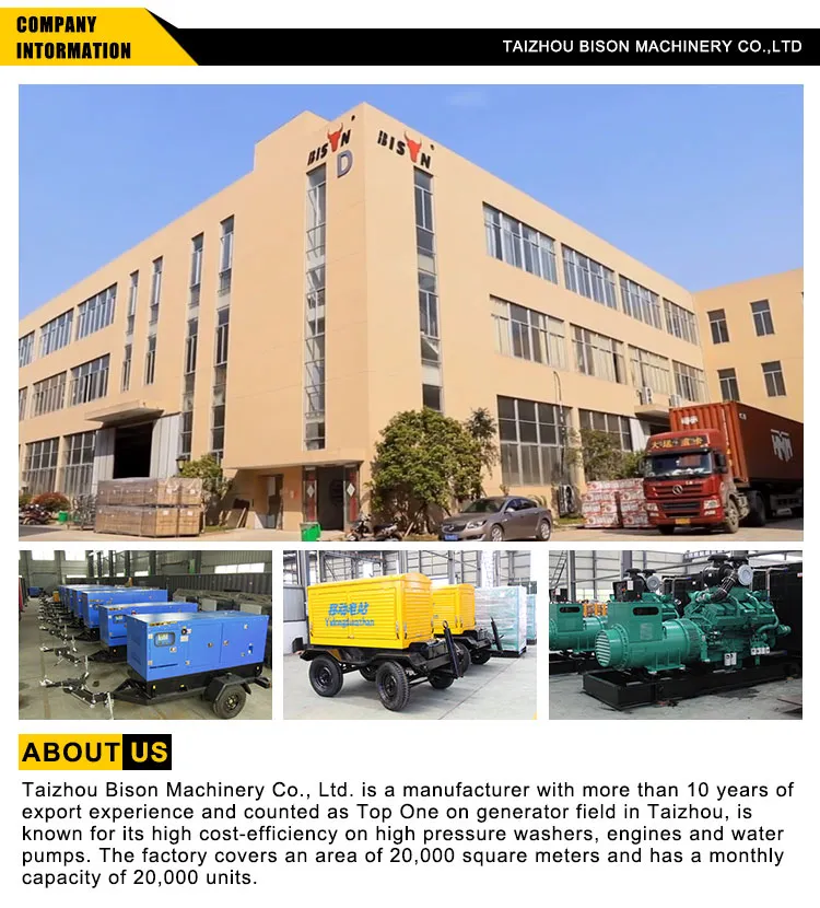 China Bison 30kw Electric Diesel Generator Genset with Cummins Diesel Engine 4bt3.9-G2