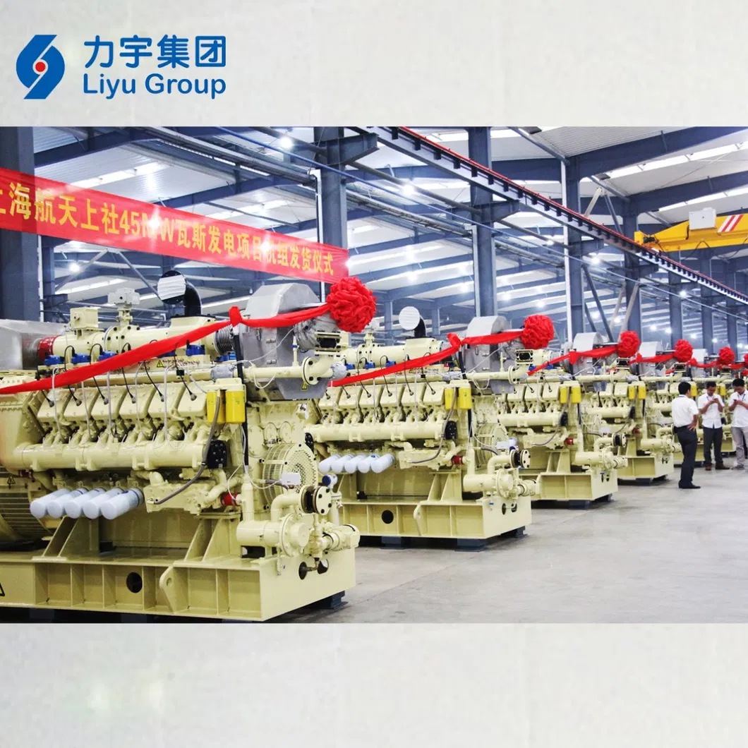 China Liyu Gas Power 1MW/1000kw 12V Cylinder Low Voltage High Concentration Methane Gas Generators Genset