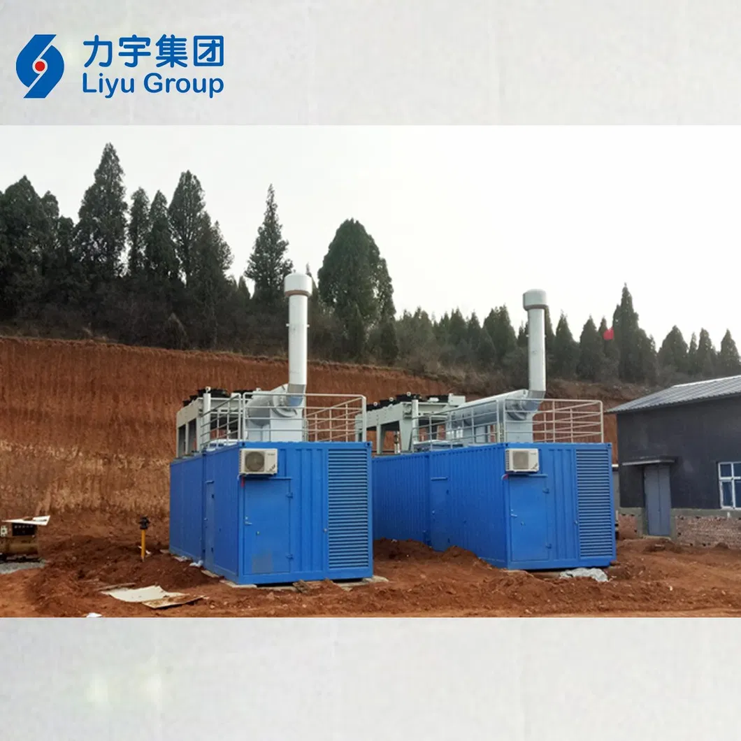 China Liyu Gas Power 1MW/1000kw 12V Cylinder Low Voltage High Concentration Methane Gas Generators Genset