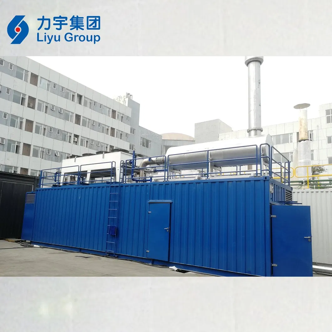 China Liyu Gas Power 1MW/1000kw 12V Cylinder Low Voltage High Concentration Methane Gas Generators Genset