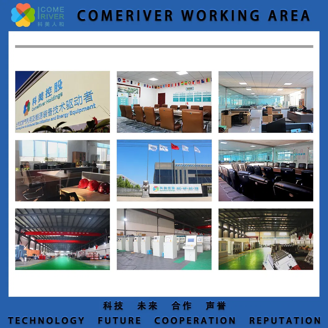 Comeriver Biomass Gas 200/240/500/600/700kw High Efficiency Industrial Exhaust Gas/Syngas/Coke Oven Gas/Producer Gas/Refining Gas/Biomass Generator Set