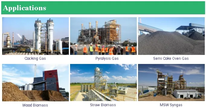 Cow Dung Gasifier Power Generation System