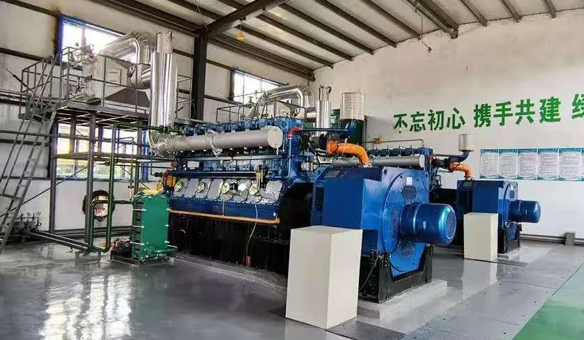 Cow Dung Gasifier Power Generation System