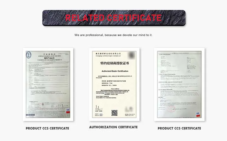 Diesel Engine Generator Spare Parts Alternator