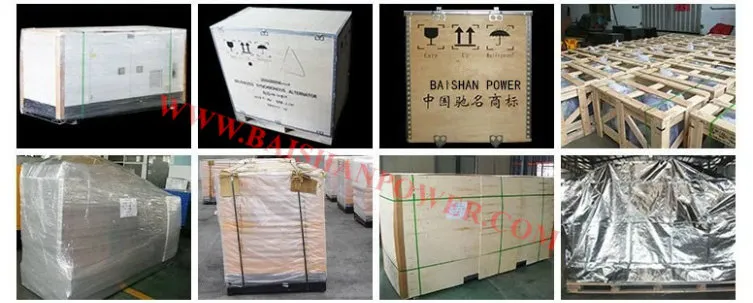 Diesel Generator Powered by Engine Genset 250kVA 275kVA 313kVA 350kVA 380kVA 450kVA 650kVA 575kVA 688kVA 750kVA 800kVA Kta38-G2 Silent Diesel Generator