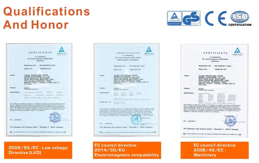 Electric Start 8000W 220V 10000 Watt Gasoline Generator