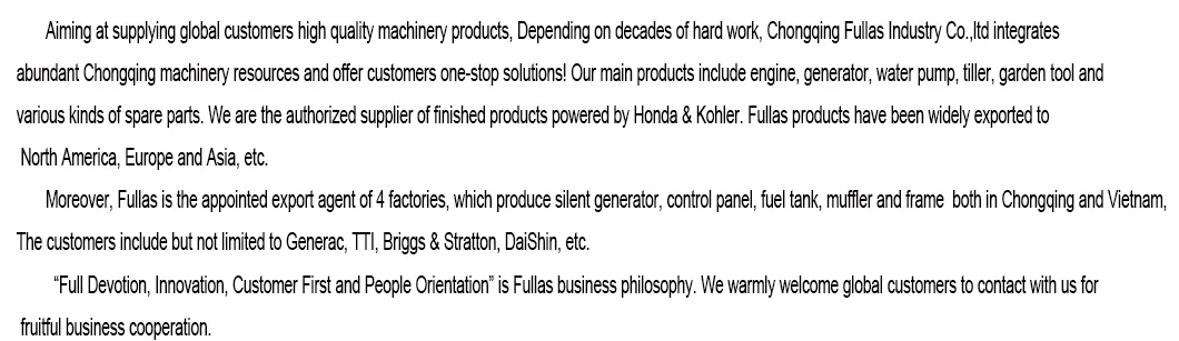 FLS-C022 Carburetor for Honda GX670/G690 twin cylinder for 10KW Generator