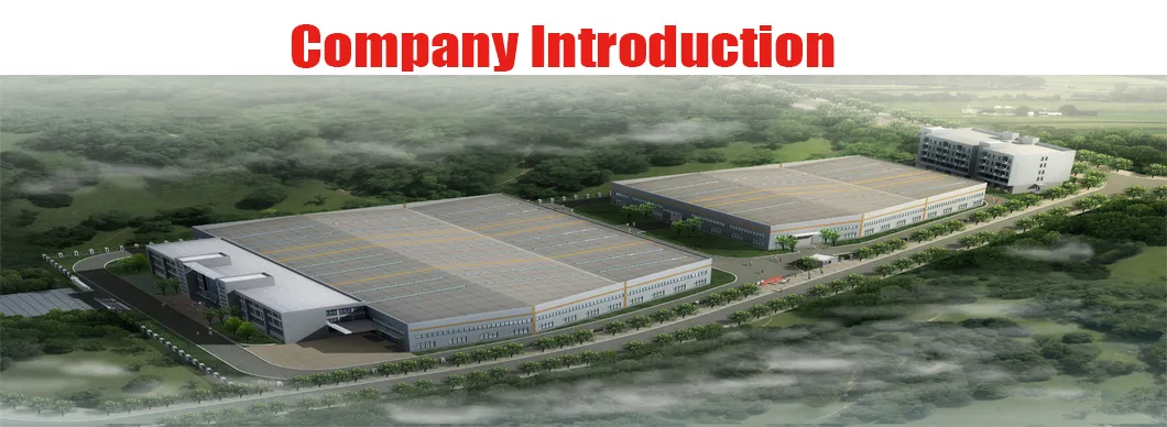 FLS-C022 Carburetor for Honda GX670/G690 twin cylinder for 10KW Generator