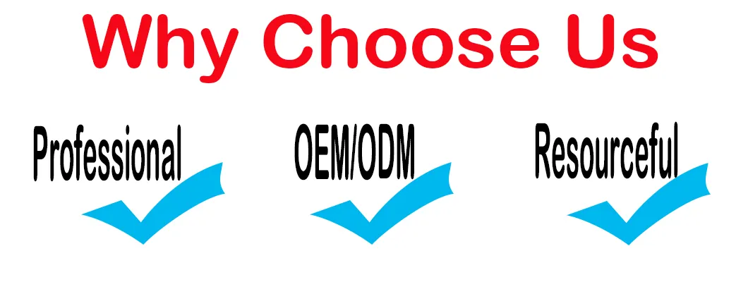 FP3500 50Hz 2.8KW Portable Gasoline Petrol Industrial Generator Powered by FP170F